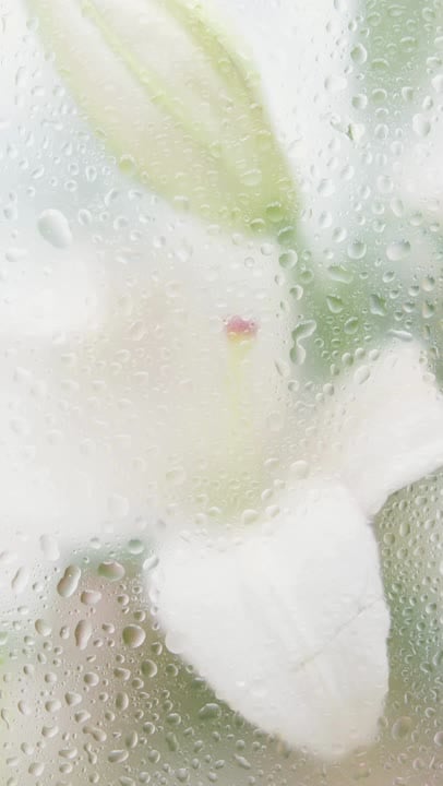 Charlotte Aasbie events