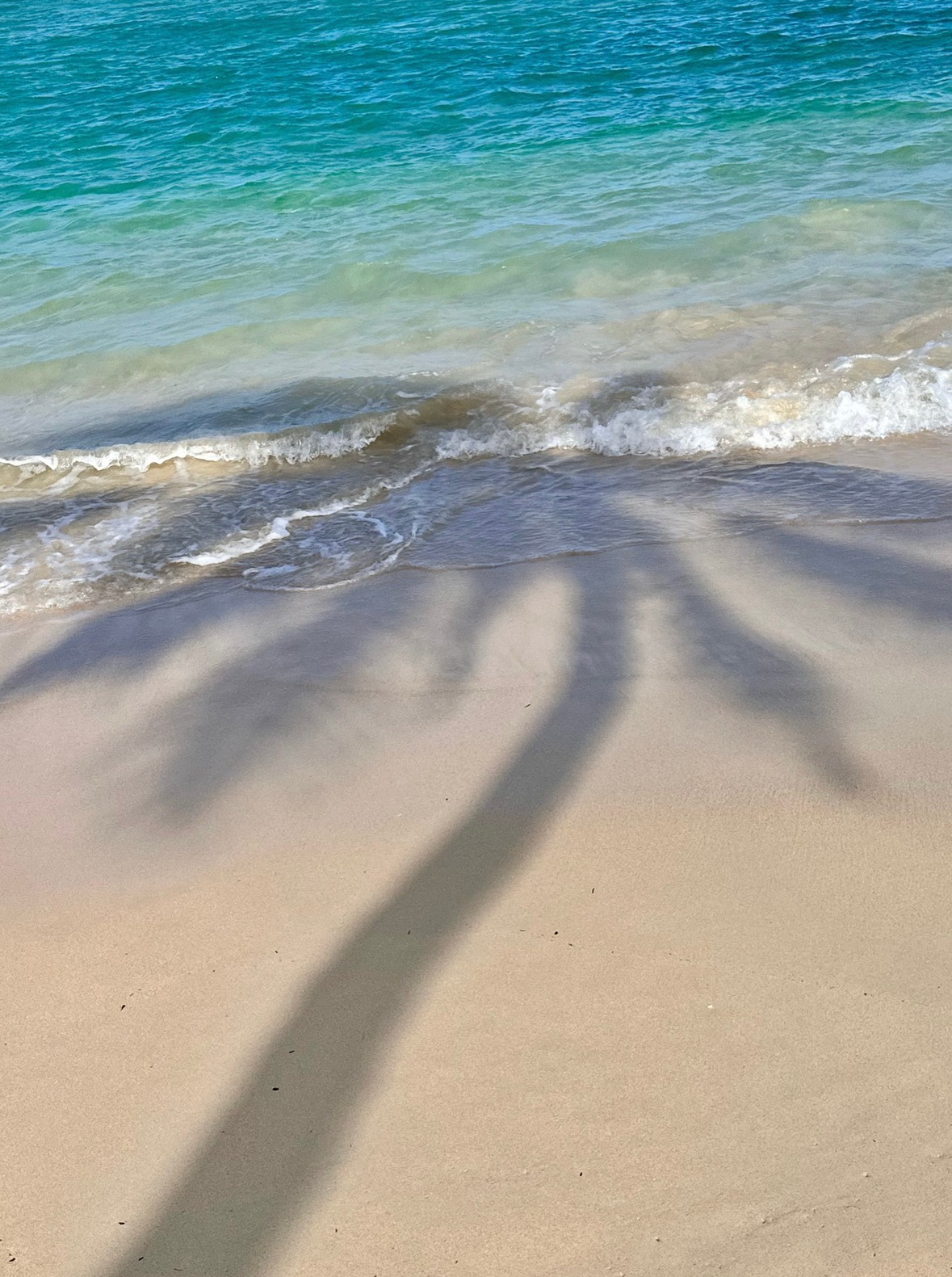 Charlotte Aasbie travel